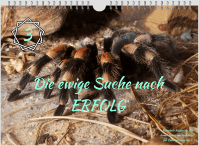 Kalender Typ 3