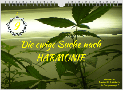 Kalender Typ 9