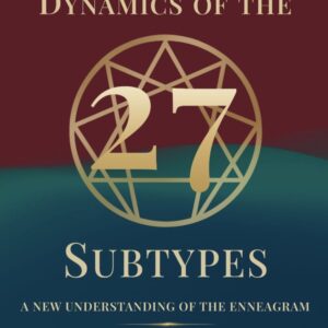The Hidden Dynamics of the 27 Subtypes